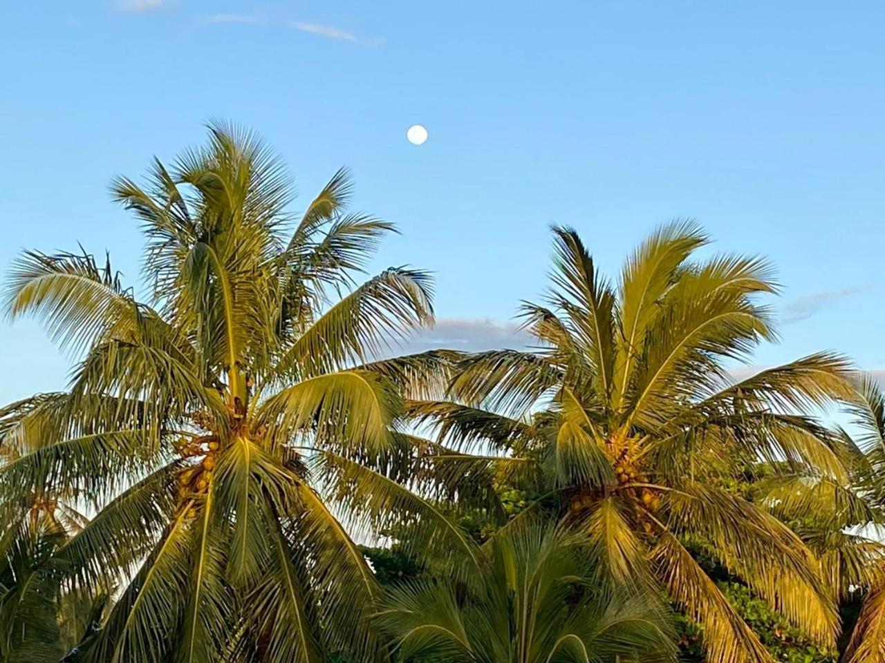 Sasagara Beach Villa Tangalle Eksteriør bilde